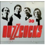 Buzzcocks - 30 CD – Hledejceny.cz