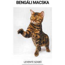 Bengáli Macska