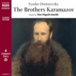 Brothers Karamazov Dostoyevsky Fyodor audio – Hledejceny.cz