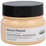L’Oréal Expert Absolut Repair Gold Quinoa+Protein Golden Mask 250 ml – Zbozi.Blesk.cz