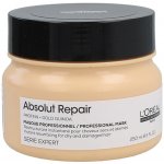 L’Oréal Expert Absolut Repair Gold Quinoa+Protein Golden Mask 250 ml – Hledejceny.cz