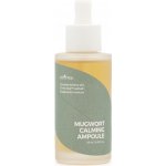 Isntree Mugwort Calming ampule 50 ml – Hledejceny.cz