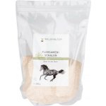 Waldhausen Indické psyllium 1 kg – Hledejceny.cz