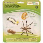 Safari Ltd. SFS662616 Životní cyklus Komár – Sleviste.cz