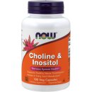 Now Foods Cholin & Inositol 500 mg x 100 kapslí