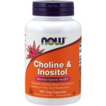 Now Foods Cholin & Inositol 500 mg x 100 kapslí – Hledejceny.cz