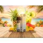 Infamous Liqonic Tropical Lemonade 10 ml – Zboží Dáma