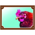 Dafiko Tabulka BOXER – Zboží Dáma