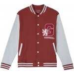 Cerdá Stylová mikina Nebelvír Harry Potter – Hledejceny.cz