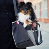 Potřeby pro cestování se psem Vsepropejska Elma cestovní taška pro psa 3 kg 40 x 18 cm 47 x 19 cm