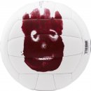 Wilson Cast Away