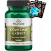 Doplněk stravy na imunitu Swanson Olivové List Olive Leaf Extract 500 mg 60 kapsułek