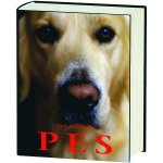 Pes - Michal Císařovský – Hledejceny.cz