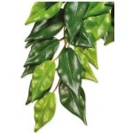 Hagen Exo Terra rostlina Ficus malá 45 cm – HobbyKompas.cz