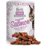 Brit Care Cat Snack Superfruits Salmon 100 g – Zboží Mobilmania