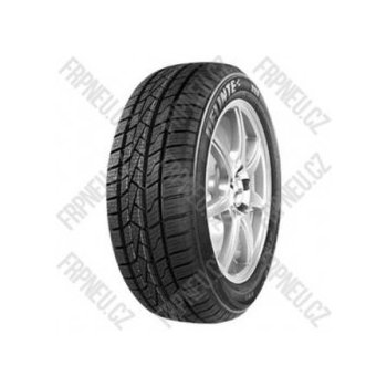 Delinte AW5 195/60 R15 88H