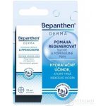 Bepanthen Derma krém na rty 7.5 ml – Zboží Dáma