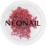 NEONAIL Dried Flowers sušený květ na nehty odstín 08 Red 1 ks – Hledejceny.cz