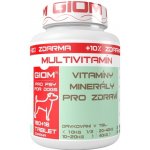Giom Multivitamin 180 tbl – Hledejceny.cz