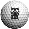 Golfové příslušenství a doplňky Masters Golfdotz samolepky na míčky, Hootie