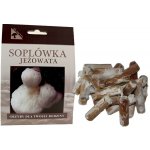 PLANTO Korálovec ježatý (Hericium erinaceus) 20 ks - podhoubí na kolících PO-KOJ-20KS – Zboží Mobilmania