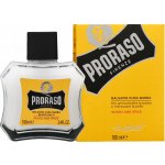Proraso Wood & Spice balzám na vousy 100 ml – Hledejceny.cz