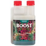 Canna Boost Accelerator 250 ml – Hledejceny.cz