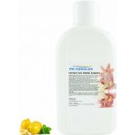 PM Aqualog esence do parních kabin citron-máta 812-001/D 1 l – Hledejceny.cz