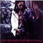 Kravitz Lenny - Are You Gonna Go My Way CD – Hledejceny.cz