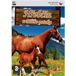 Hřebčín U Bílého potoka – Zboží Dáma