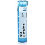 RUTA GRAVEOLENS POR 9CH GRA 4G – Hledejceny.cz
