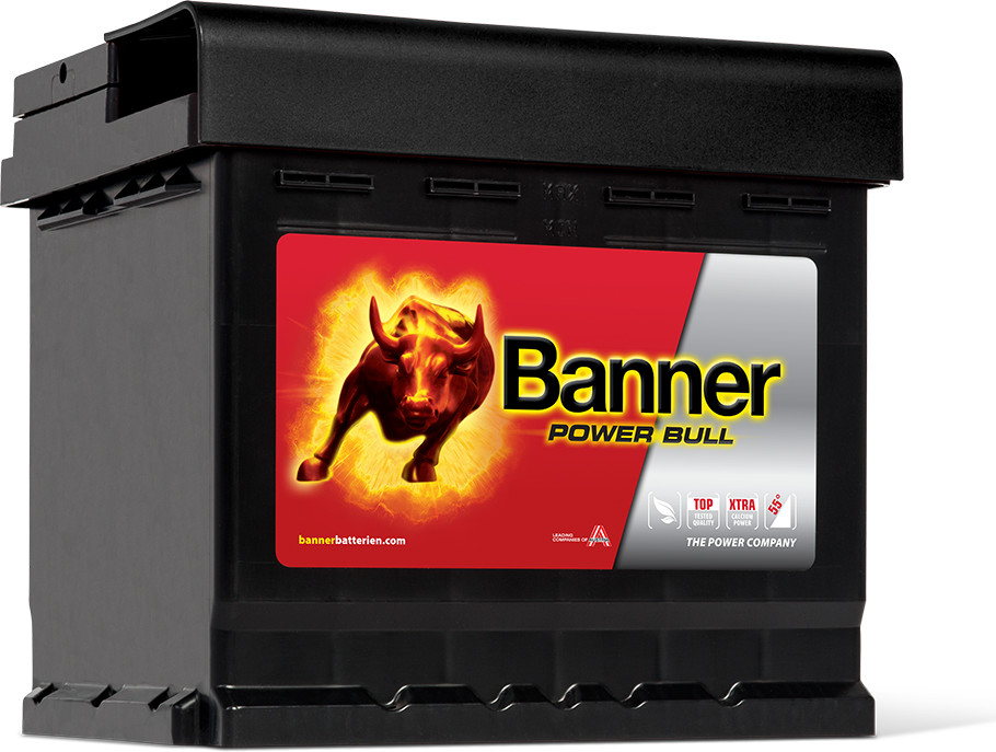 Banner Power Bull 12V 50Ah 450A P50 03