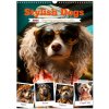 Kalendář Stylish Dogs Wall DIN A3 portrait CALVENDO 12 Month Wall 2024