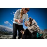 Marp Adult Wild Boar divočák 100 g – Zboží Mobilmania