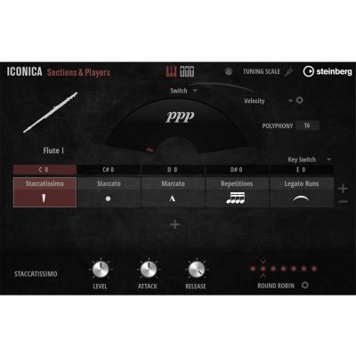 Steinberg Iconica Sections & Players (el. licence) – Zboží Živě