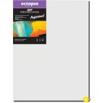 Octopus Professional malířské plátno 350 g 40 x 50 cm – Zboží Mobilmania