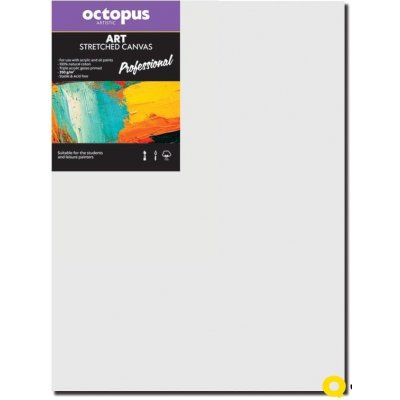 Octopus Professional malířské plátno 350 g 40 x 50 cm – Zboží Mobilmania