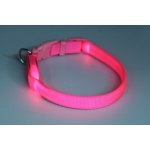 Dogtrace obojek svítící syntetický popruh – Zboží Dáma