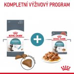Royal Canin Hairball Care 10 kg – Sleviste.cz