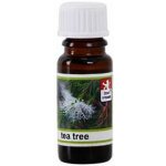 DiatomPlus Tea Tree 100% esenciální olej 10 ml – Hledejceny.cz