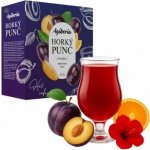 Agiberia Horký punč švestka 25x20g – Zboží Dáma