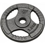 HAMMERTONE Litinový kotouč 2,5kg 29mm – Zbozi.Blesk.cz