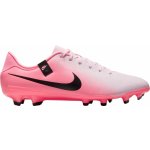 Nike LEGEND 10 ACADEMY FG/MG dv4337-601 – Zboží Mobilmania