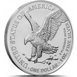 US Mint Stříbrná mince American Silver Eagle 2026 1 oz – Zboží Dáma