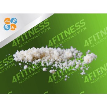 4Fitness Lecithin 98% 1 kg