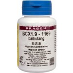 Pragon BCX1.9-1169 baihutang 36 tablet – Hledejceny.cz