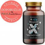 BrainMax Magtein Hořčík L-Treonát 90 kapslí – Zboží Dáma