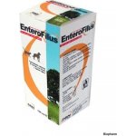 ICF Enterofilus 12 x 10 ml – Hledejceny.cz