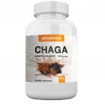 Allnature Chaga 100 kapslí – Zboží Mobilmania