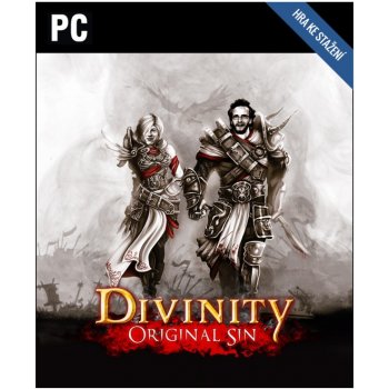 Divinity Original Sin